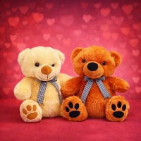 LoveBond Teddy Couple